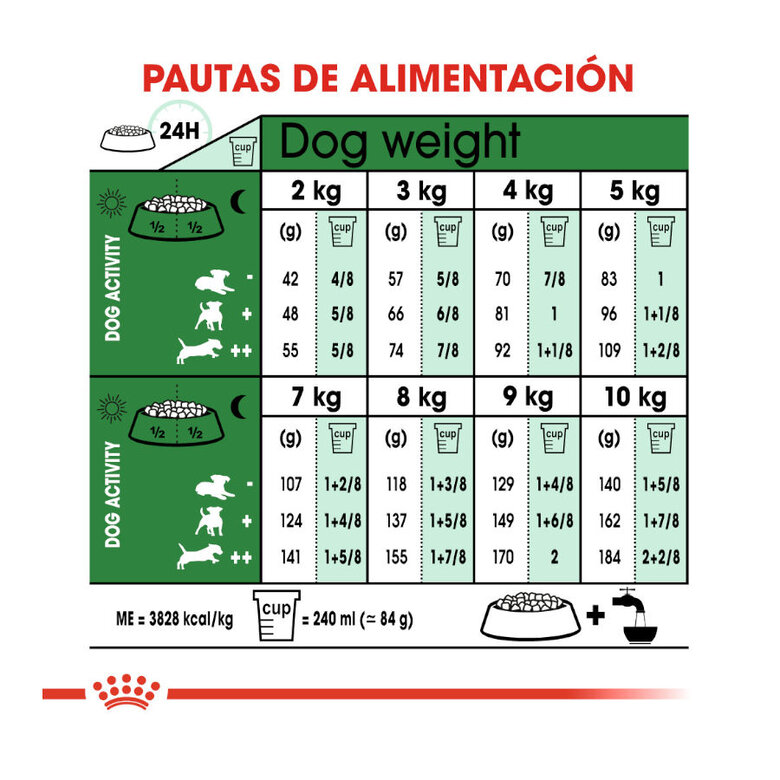 Royal Canin Adult 12+ Mini ração para cães  , , large image number null
